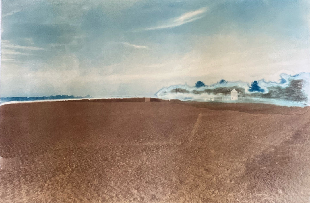 "Brume" by Bronwen Hazlett