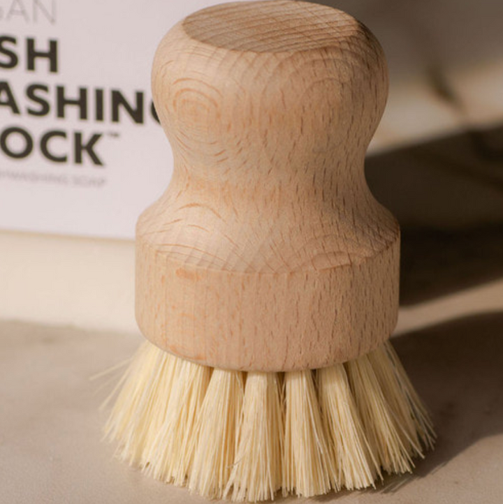 Casa Agave Dishwashing & Vegetable Hand Brush