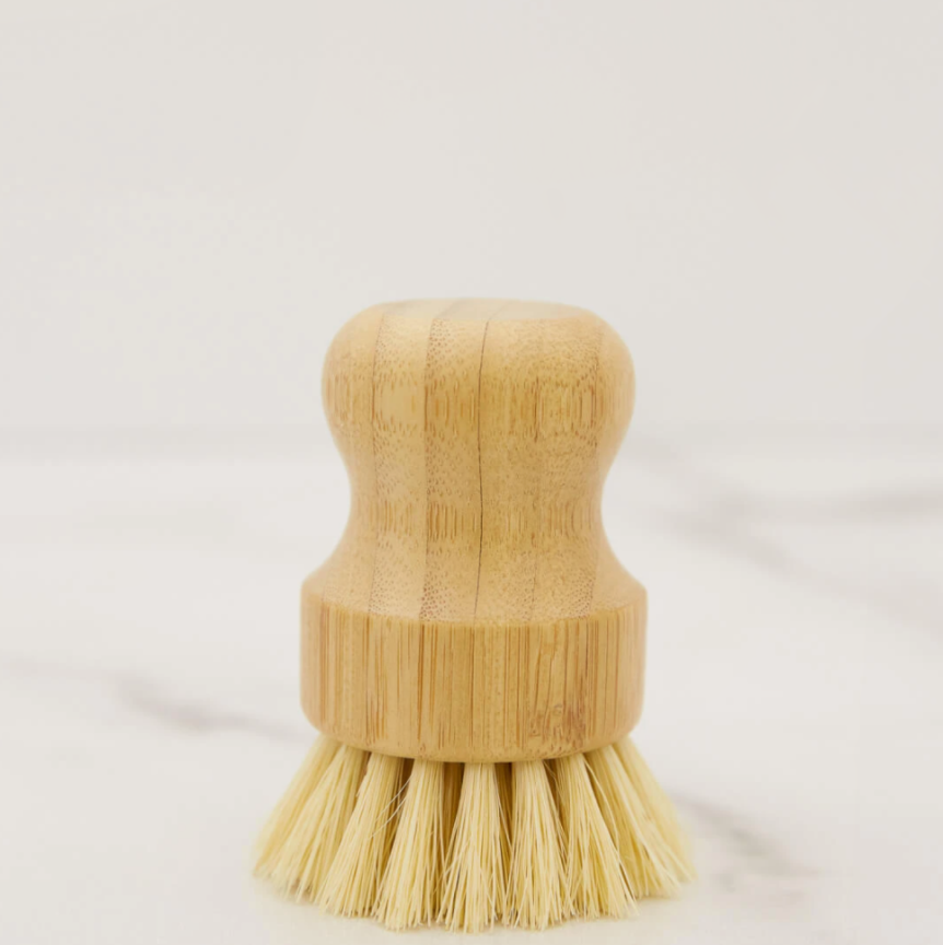 Casa Agave Dishwashing & Vegetable Hand Brush