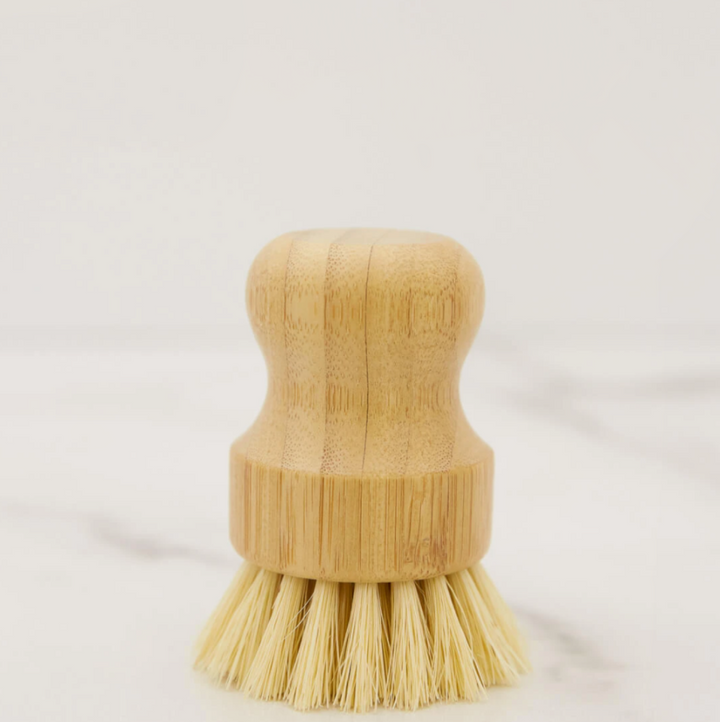 Casa Agave Dishwashing & Vegetable Hand Brush