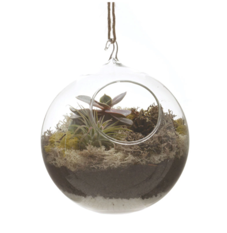 Hanging Terrarium