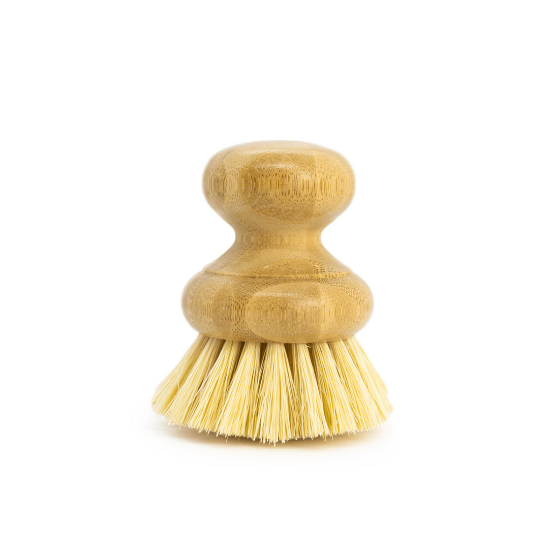 Casa Agave Dishwashing & Vegetable Hand Brush
