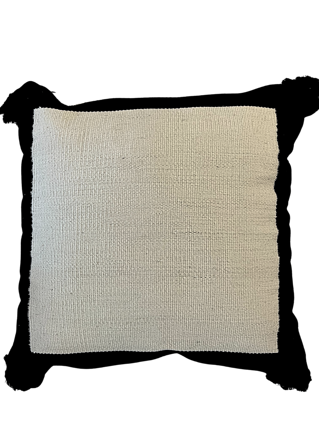 Black & White Frame Pillow