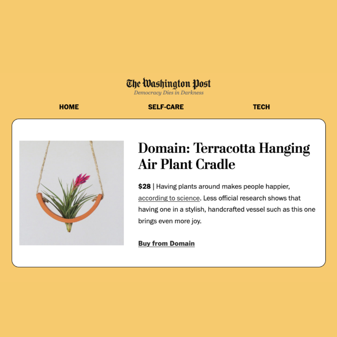 air plant cradle Hanging Ceramic White Air Plant Cradle