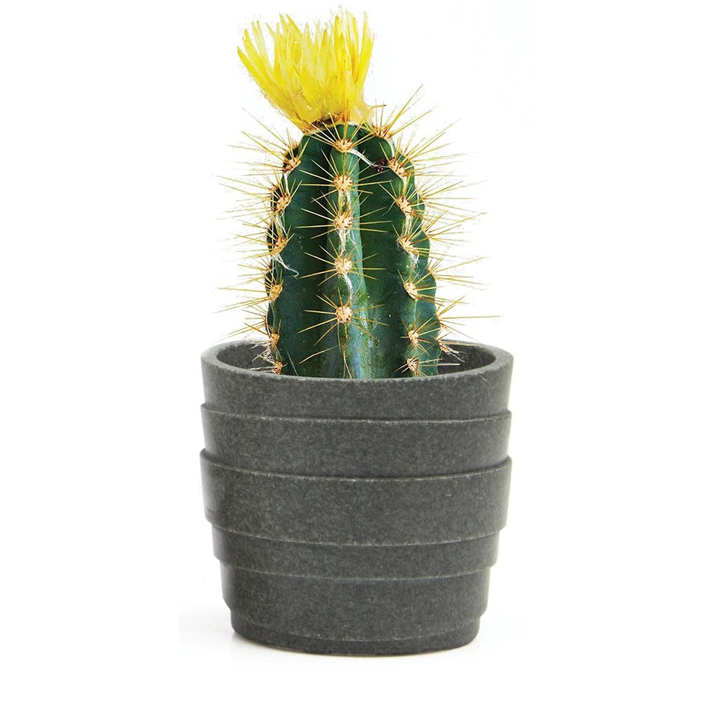 Grooves Mini Planter, Two Colors Available