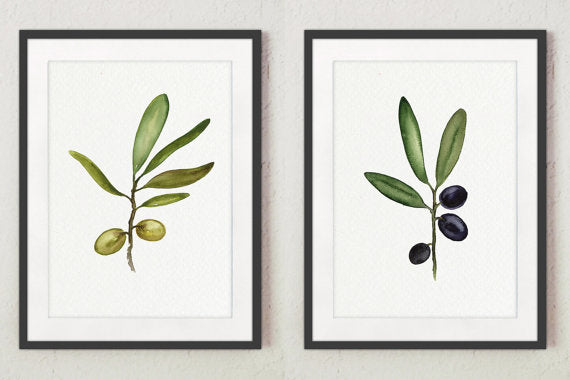 Olive Tree Watercolor Painting