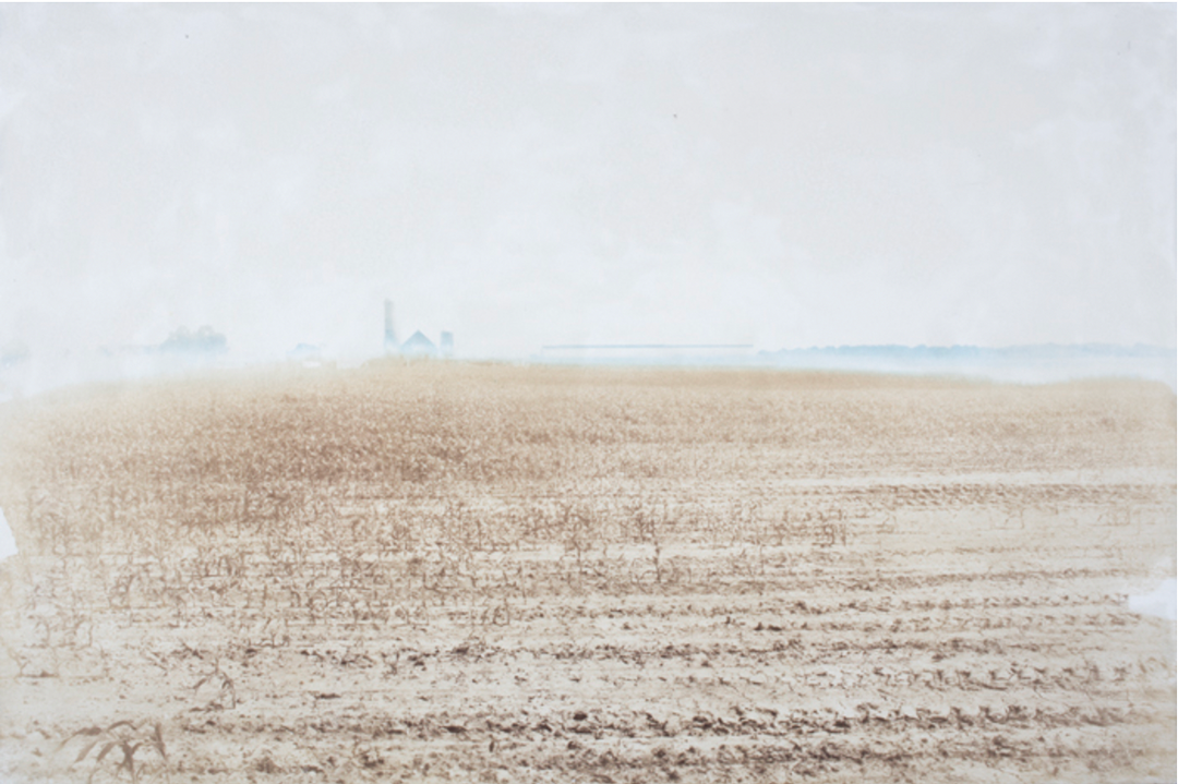 Resolute by Bronwen Hazlett