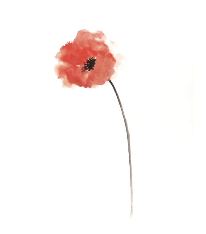 Red Poppy Watercolor Art Print - Framed