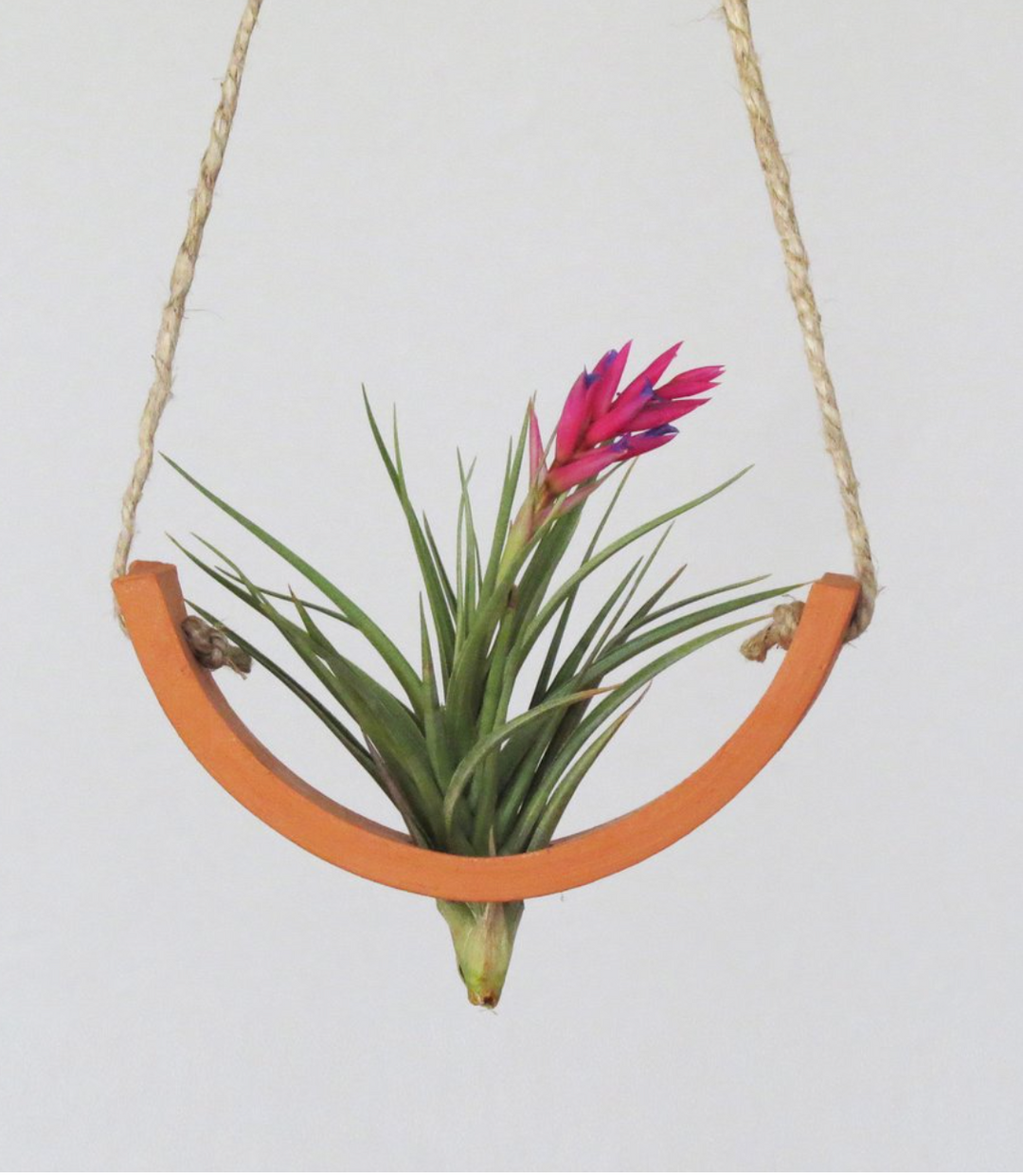 air plant cradle Terracotta Ceramic Hanging Air Plant Cradle