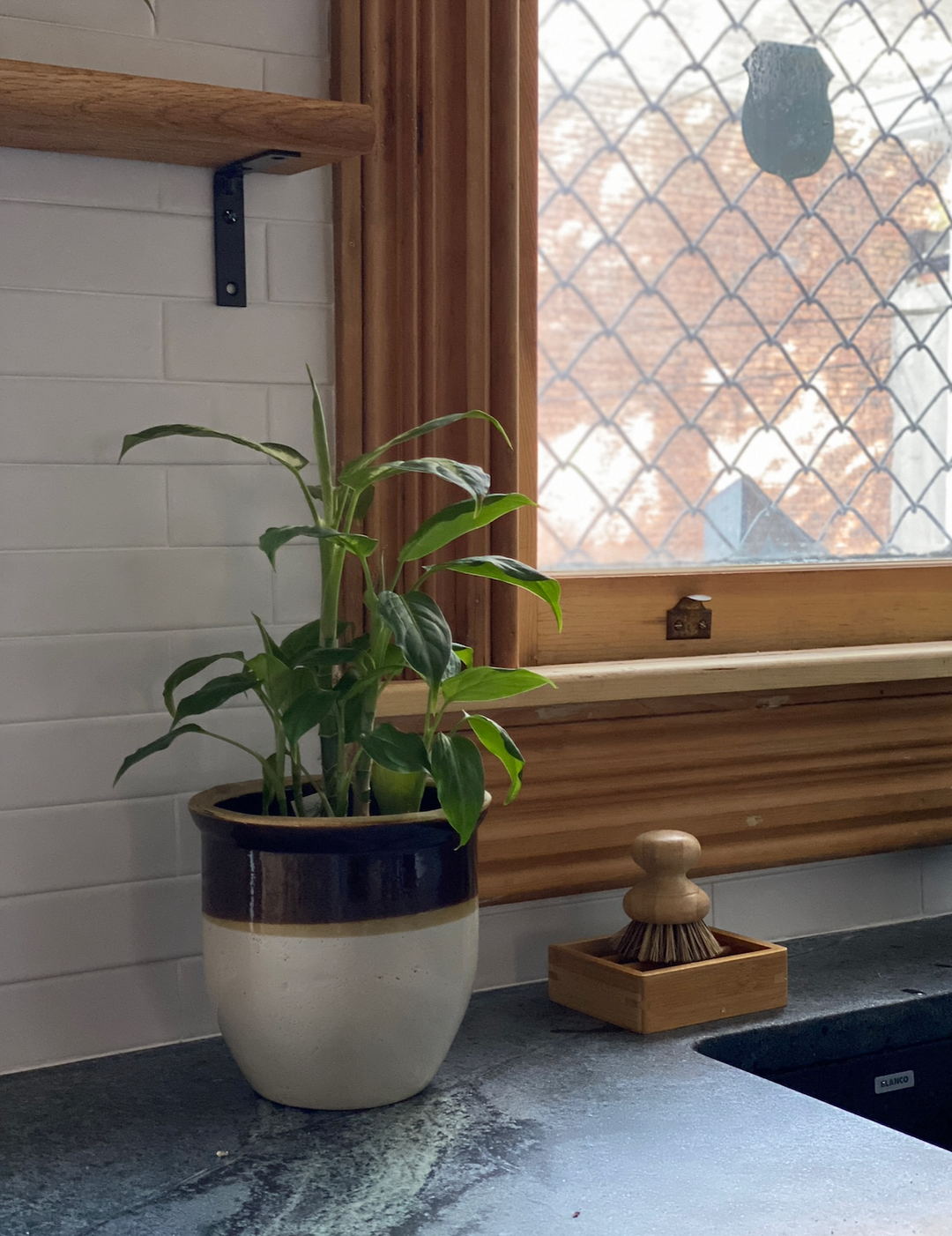 Casa Agave Pot Scrubber - Moso Bamboo